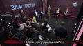 Блогер рассказал, как увлечение птицей с детства привело его к созданию успешного канала