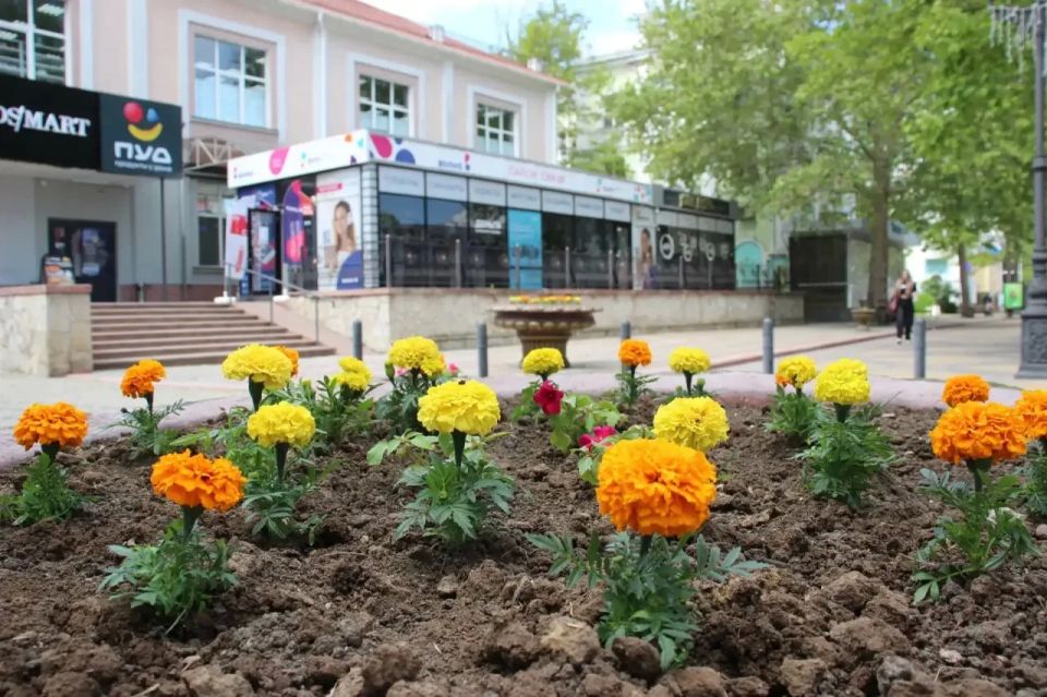 Иван Кошель: Сотрудники Службы городского хозяйства приступили к украшению вазонов вдоль ул. Ленина, а также внутри колоннады на центральной площади Иван Кошель: Сотрудники Службы городского хозяйства приступили к украшению вазонов вдоль ул. Ленина, а также внутри колоннады на центральной площади