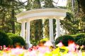 MORE SPA & RESORT стал победителем конкурса «Лучшая благоустроенная территория средств размещения в 2026 году», организованного Министерством курортов и туризма Республики Крым