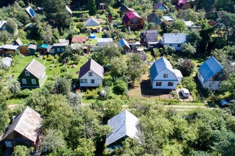 Информация для садоводов: изменена одна из форм справок, необходимых для оформления документов на земельный участок