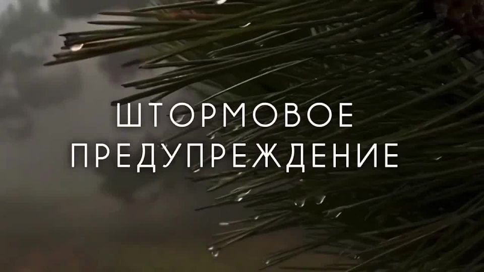 Экстренное предупреждение об опасных гидрометеорологических явлениях по Республике Крым на 20 мая 2026 года