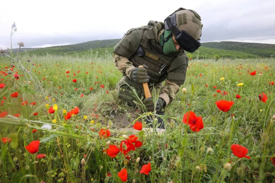 Снаряды времен Великой Отечественной войны идентифицировали росгвардейцы в Севастополе
