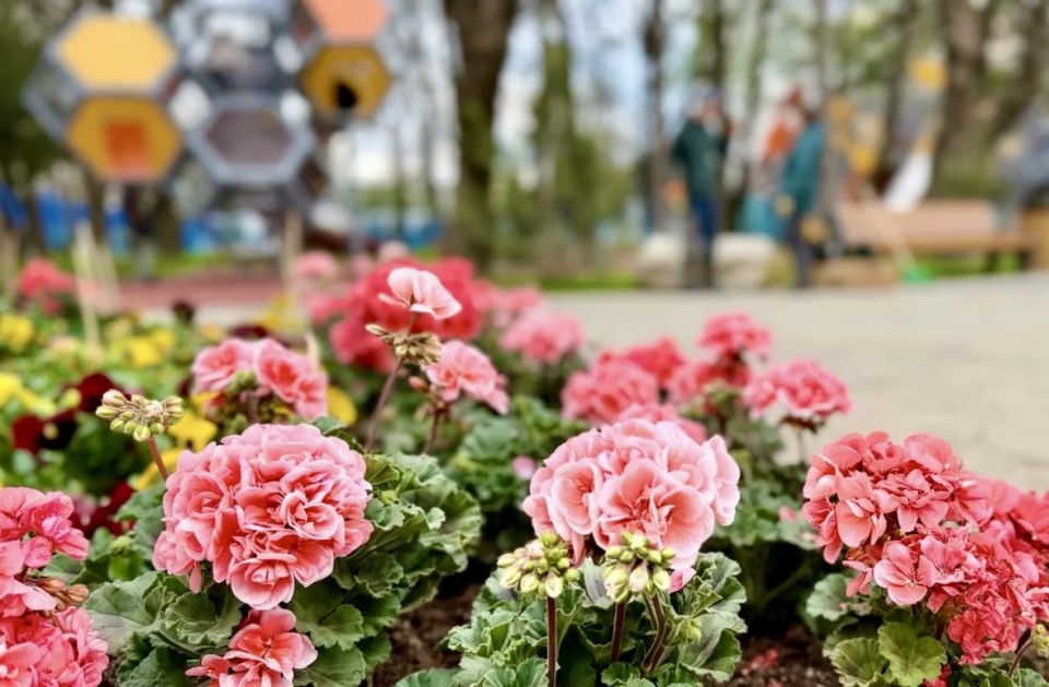 Цветочный тетрис — секрет хорошего настроения Цветочный тетрис — секрет хорошего настроения