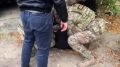 ФСБ опубликовала кадры задержания жителя Керчи, которого обвиняют в сотрудничестве с украинскими спецслужбами