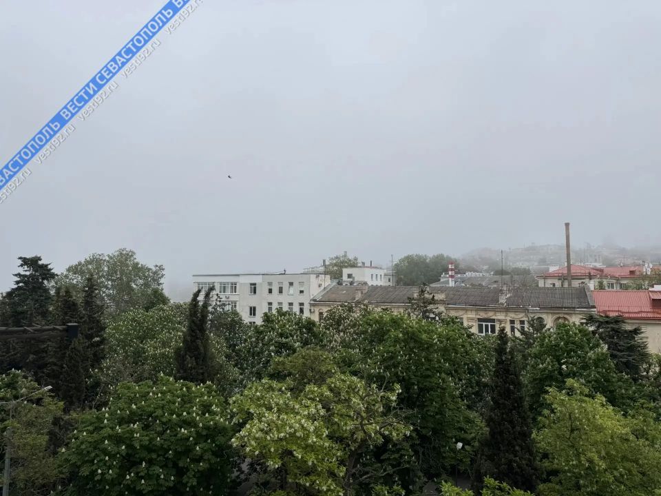 В Севастополе идёт дождь, несмотря на тёплую погоду В Севастополе идёт дождь, несмотря на тёплую погоду