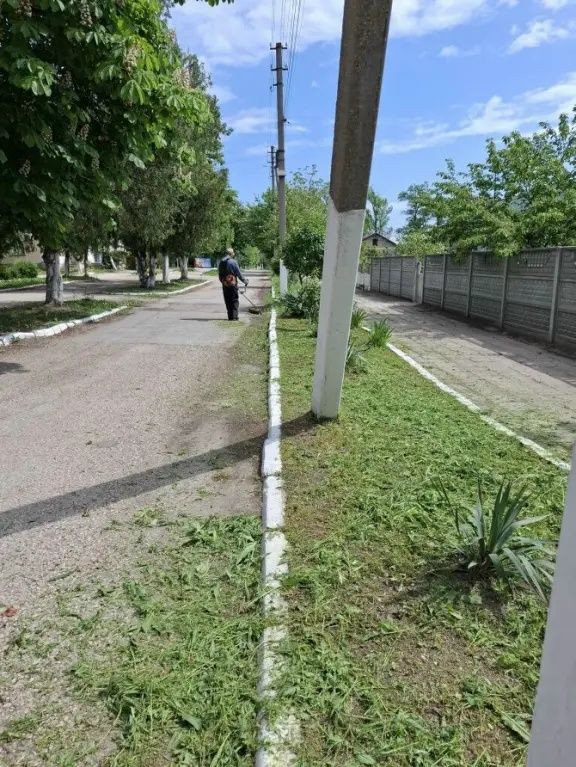 Экологическая акция «Чистый Крым» Экологическая акция «Чистый Крым»