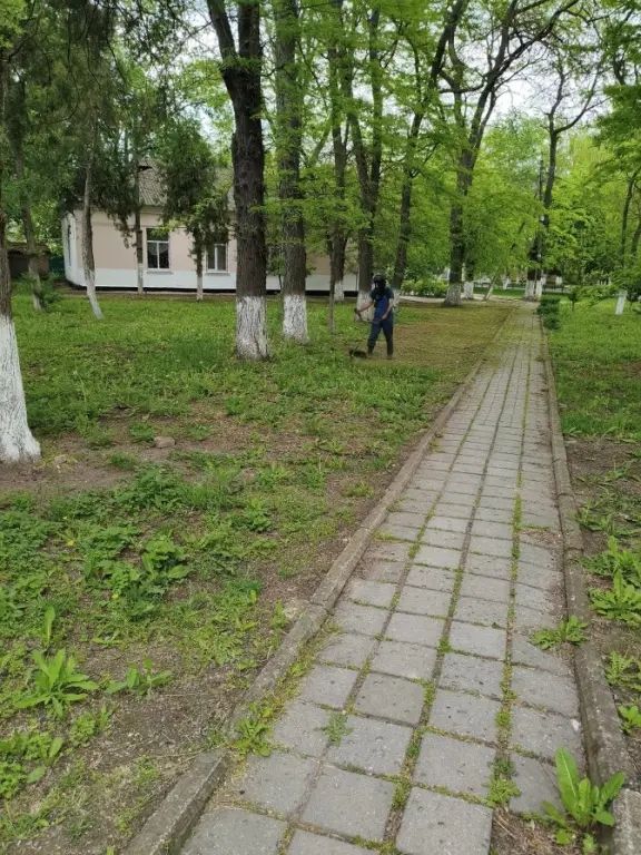 Экологическая акция «Чистый Крым» Экологическая акция «Чистый Крым»