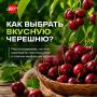 Как не ошибиться при покупке черешни?