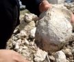 � ����������� �������� �������� �������� �������� ��������