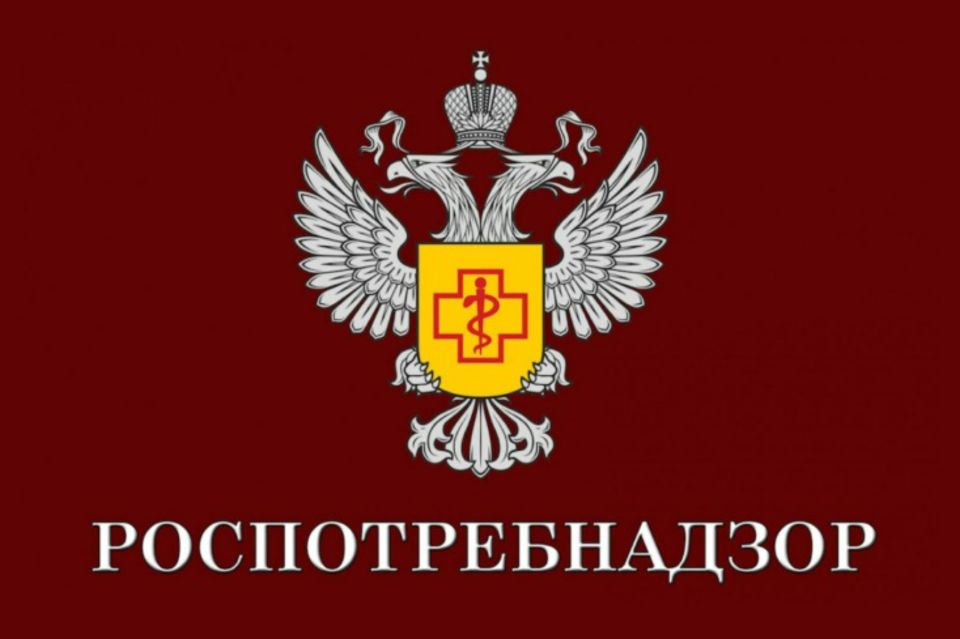Опасные насекомые и членистоногие, которые встречаются в России