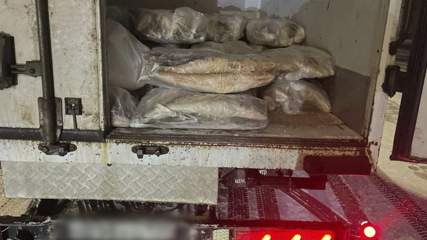 Волгоградские полицейские изъяли из незаконного оборота 10 тонн немаркированной рыбы Волгоградские полицейские изъяли из незаконного оборота 10 тонн немаркированной рыбы