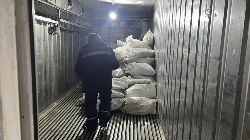 Волгоградские полицейские изъяли из незаконного оборота 10 тонн немаркированной рыбы Волгоградские полицейские изъяли из незаконного оборота 10 тонн немаркированной рыбы