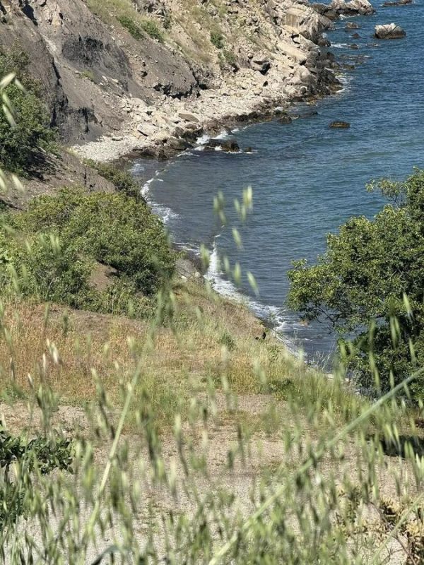 Что предлагает туристам в Крыму новый кемпинг "Сырные скалы" Что предлагает туристам в Крыму новый кемпинг "Сырные скалы"
