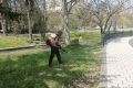 В Симферополе продолжается акарицидная обработка территорий