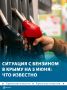 ��� ��������, � ������� ��������� ��������� � ������� �� ����� ��-�� �������� �������, ��������� ������� ����� �� ������ 8-800-511-80-18