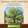 Александр Соколовский: Нашему дубу нужна ваша поддержка!