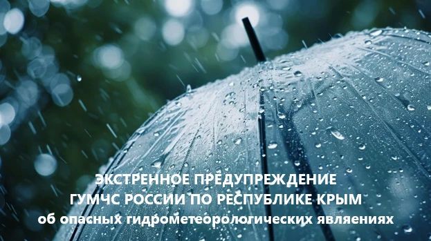 Крымэнерго: Во второй половине дня и вечером 11 июня 2026 года в Крыму ожидаются местами сильные ливни, грозы, град, при грозах шквалистое усиление ветра до 15-20 м/с (