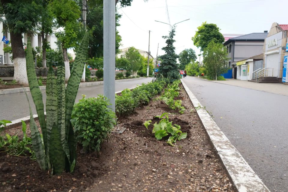 Сегодня на центральной улице города Белогорска стало ещё зеленее и уютнее Сегодня на центральной улице города Белогорска стало ещё зеленее и уютнее