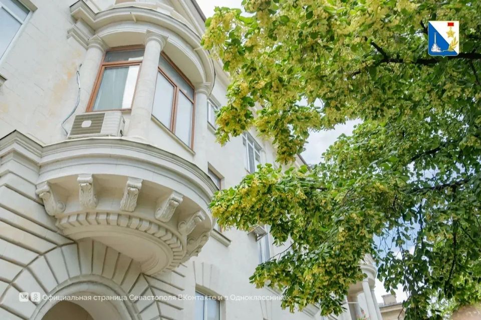 На улице Гоголя зацвели липы, высаженные в декабре
