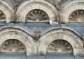 Кот Мостик: Ничего лишнего. Просто птенцы с мамой чайкой в сводах храма Архангела Михаила в Алупке