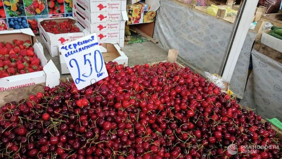 Ярко и полезно: фруктово-овощной сезон в Крыму в разгаре Ярко и полезно: фруктово-овощной сезон в Крыму в разгаре