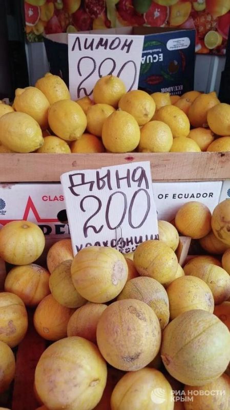 Ярко и полезно: фруктово-овощной сезон в Крыму в разгаре Ярко и полезно: фруктово-овощной сезон в Крыму в разгаре