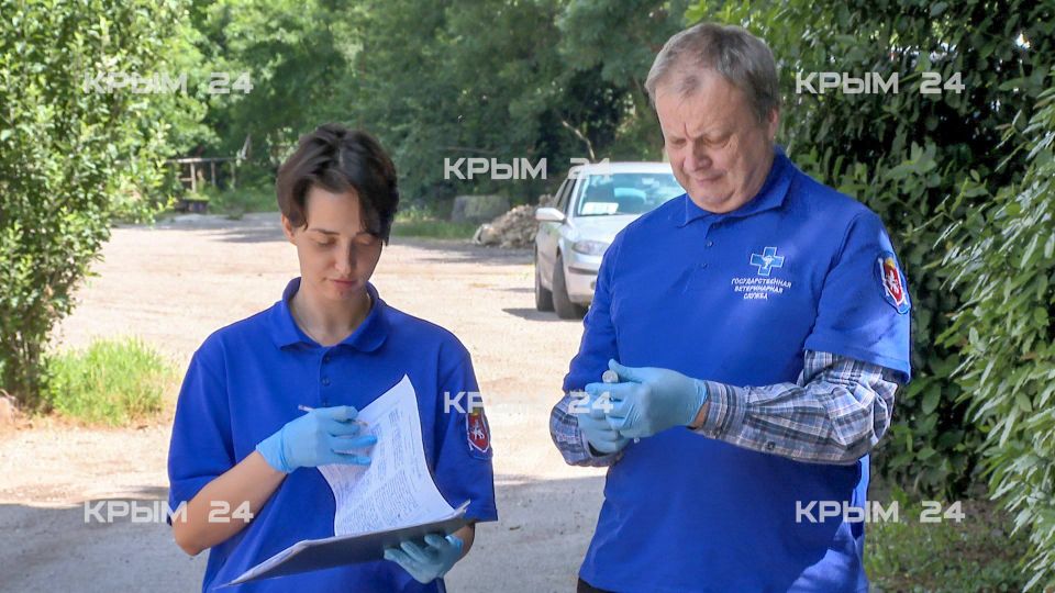Бесплатную вакцинацию кошек и собак против бешенства провели в Гурзуфе и Краснокаменке
