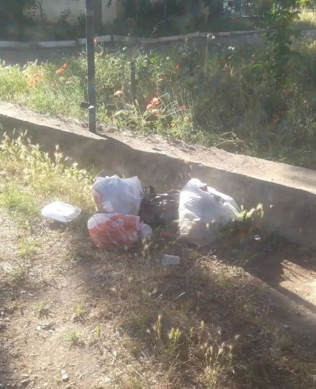 Уважаемые евпаторийцы и гости города! Призываем не выбрасывать мусор в неположенных для этого местах и ответственнее относиться к экологии