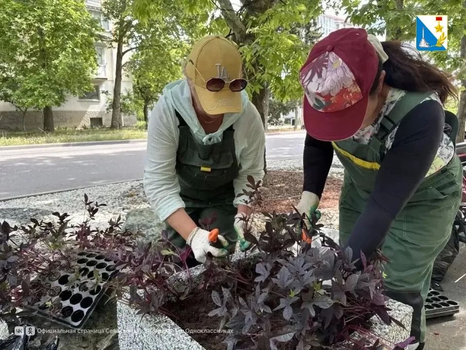 Посмотрите, какая красота появилась на проспекте Гагарина Посмотрите, какая красота появилась на проспекте Гагарина