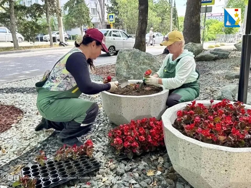 Посмотрите, какая красота появилась на проспекте Гагарина Посмотрите, какая красота появилась на проспекте Гагарина
