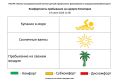 19.06.2026 г. на 12:00 комфортность пребывания на Евпаторийском курорте, по данным ГБУЗ РК «НИИ ДКФиМР», составляет: