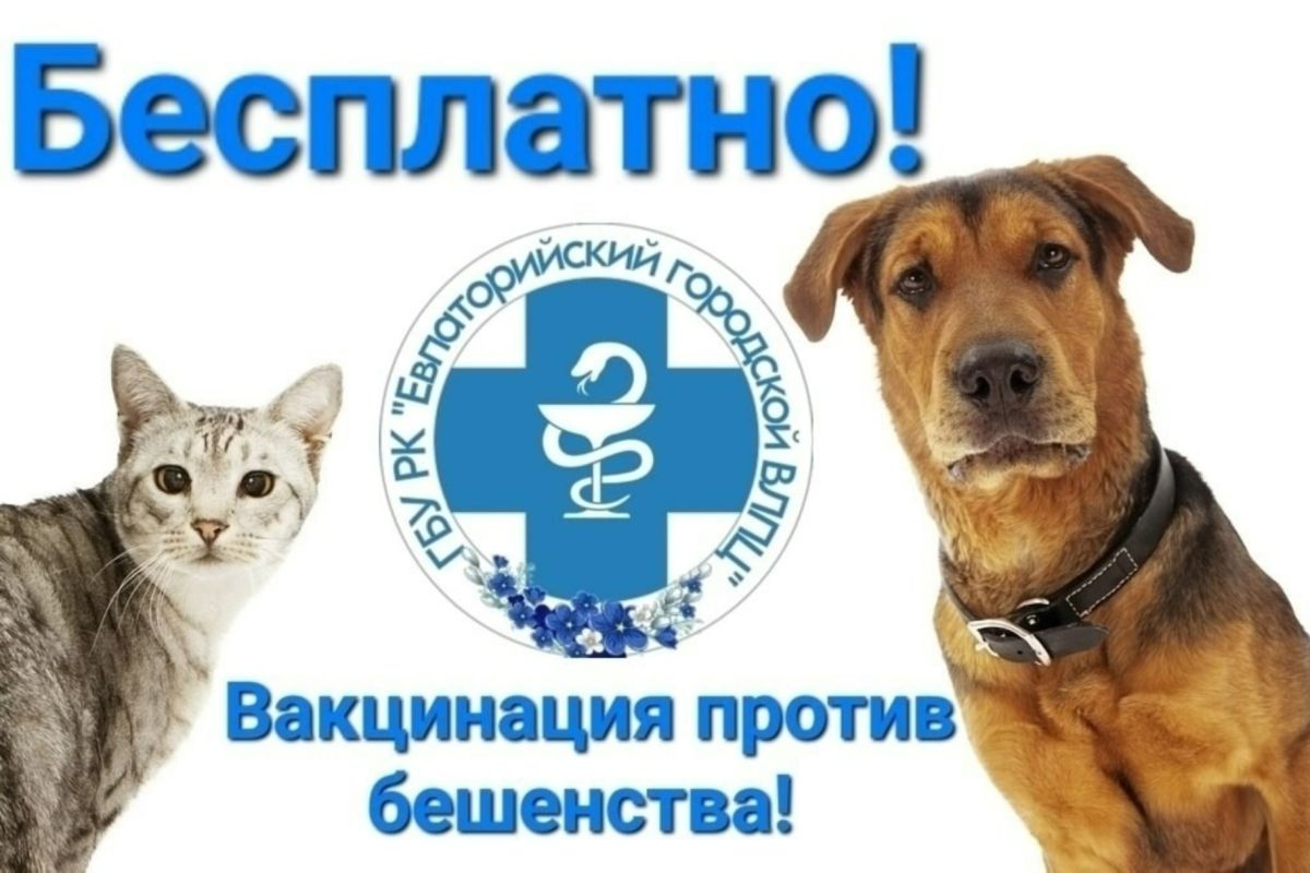 Бесплатная вакцинация собак и кошек