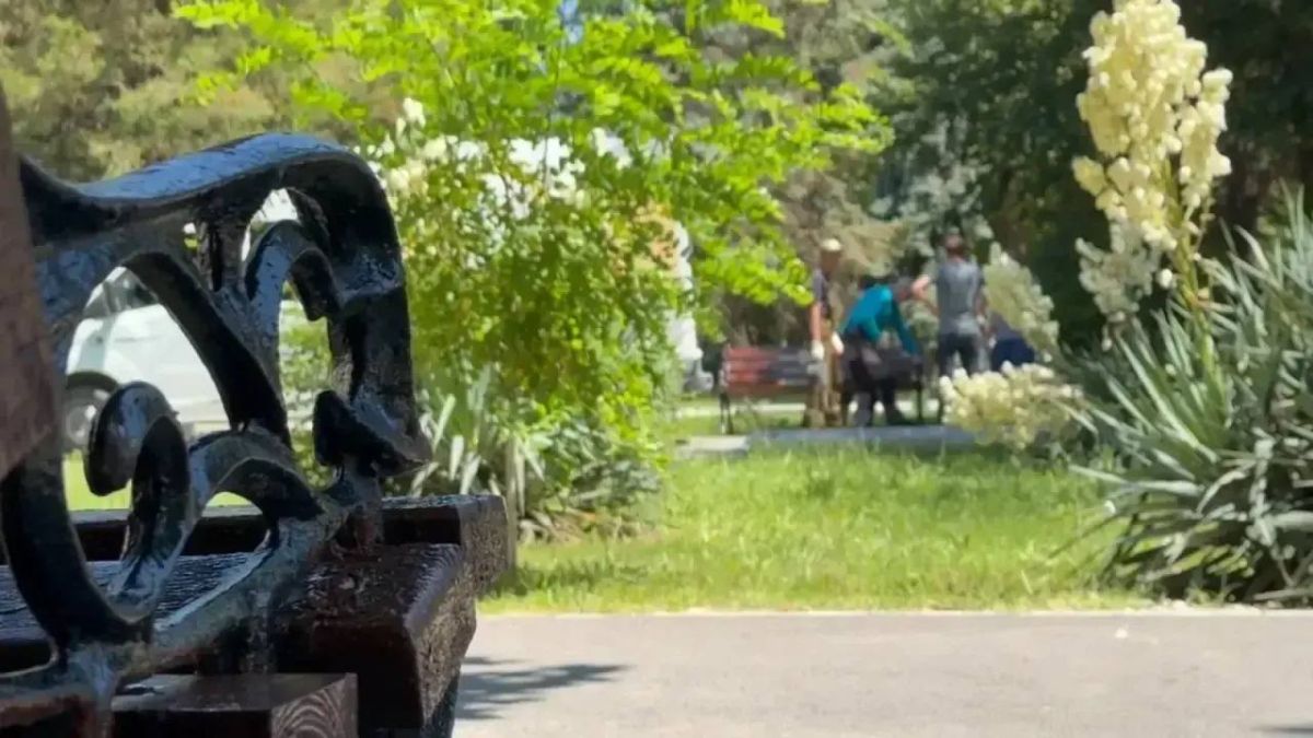 Иван Кошель: У поликлиники №3 ГБУЗ РК «Керченская городская больница №3» сотрудниками Службы городского хозяйства установлены две скамейки Иван Кошель: У поликлиники №3 ГБУЗ РК «Керченская городская больница №3» сотрудниками Службы городского хозяйства установлены две скамейки