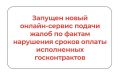 Запущен новый онлайн-сервис подачи жалоб по фактам нарушения сроков оплаты исполненных госконтрактов