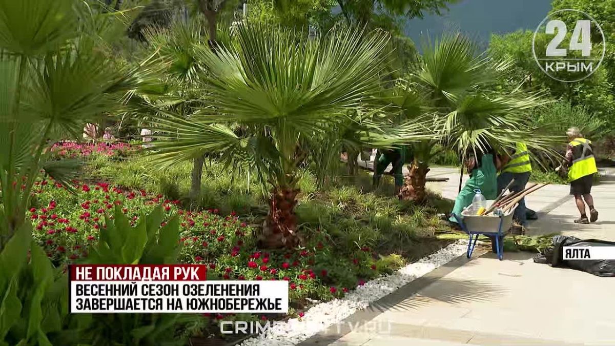 Не покладая рук: на Южном берегу Крыма пересмотрели формат работы коммунальных служб
