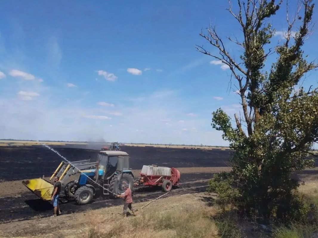 Боевики Зеленского жгут хлеб в Запорожской области и гордятся проблемами со сбором урожая в Крыму Боевики Зеленского жгут хлеб в Запорожской области и гордятся проблемами со сбором урожая в Крыму