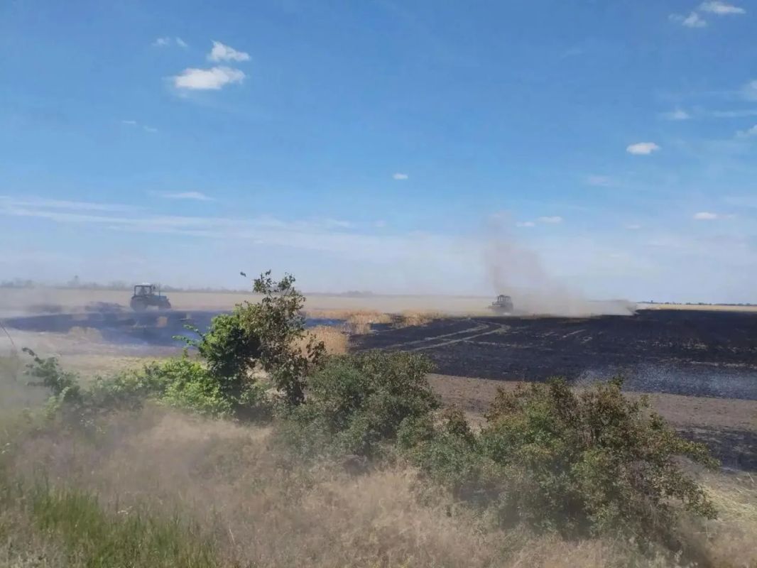 Боевики Зеленского жгут хлеб в Запорожской области и гордятся проблемами со сбором урожая в Крыму Боевики Зеленского жгут хлеб в Запорожской области и гордятся проблемами со сбором урожая в Крыму