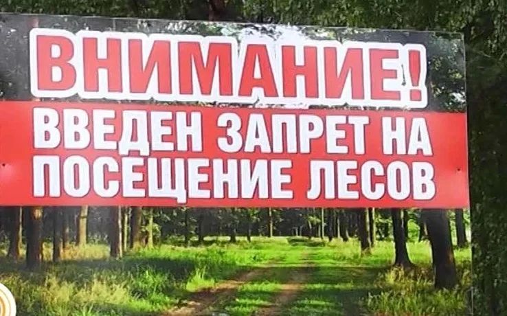 На территории земель лесного фонда в Республике Крым вводится ограничение пребывания граждан в лесах и въезда в них транспортных средств