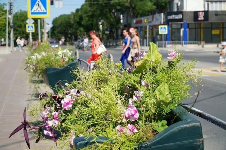 В Евпатории обновляют дорожную разметку и установили вазоны с цветами