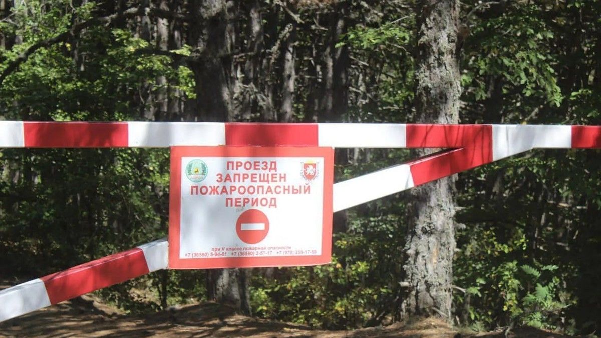 Посещение лесов в Крыму ограничили с 1 июля