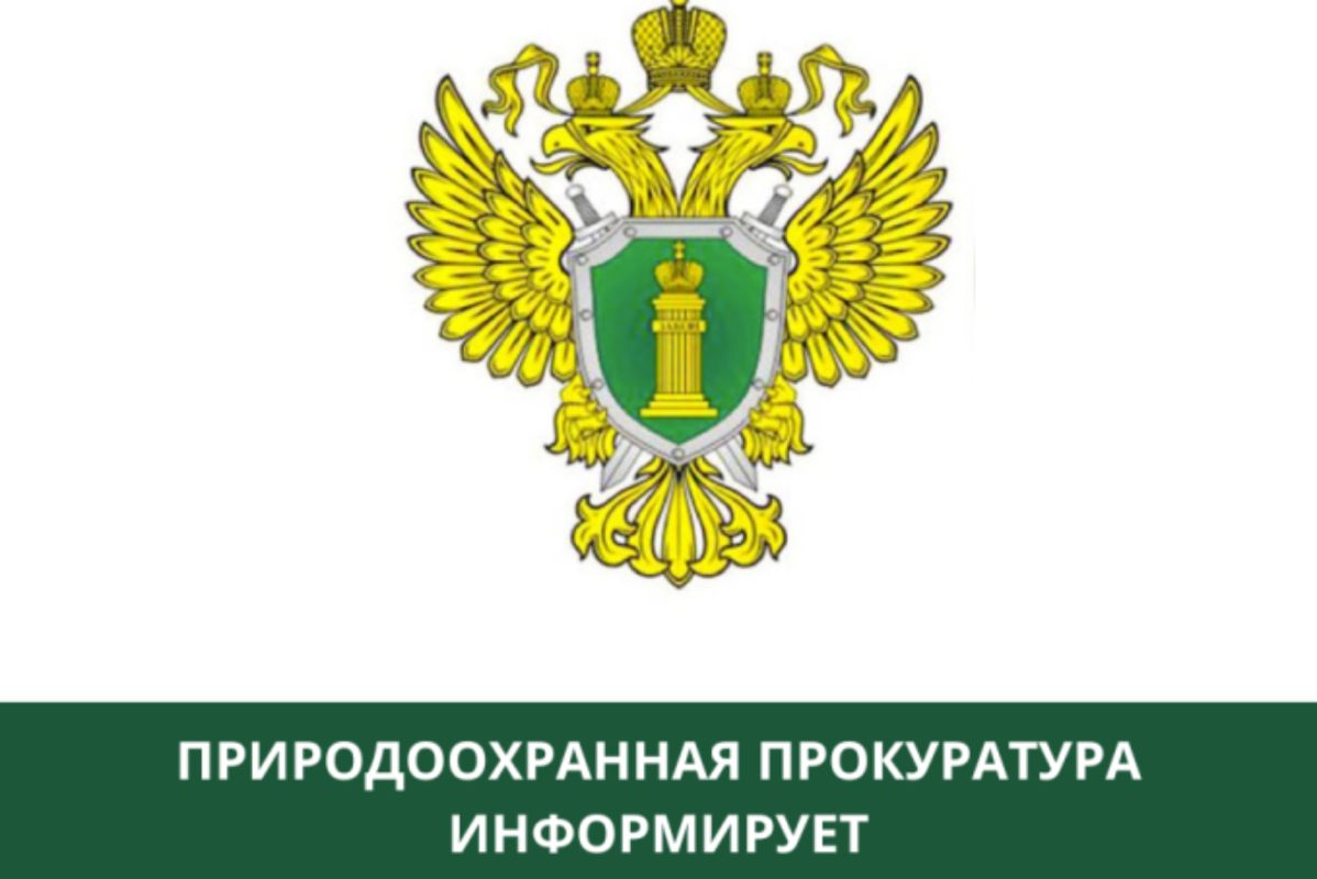 Керченская межрайонная природоохранная прокуратура разъясняет