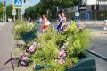 В Евпатории обновляют дорожную разметку и установили вазоны с цветами