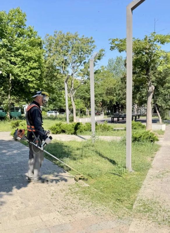 Зелёные уголки Симферополя: ежедневный уход и забота Зелёные уголки Симферополя: ежедневный уход и забота