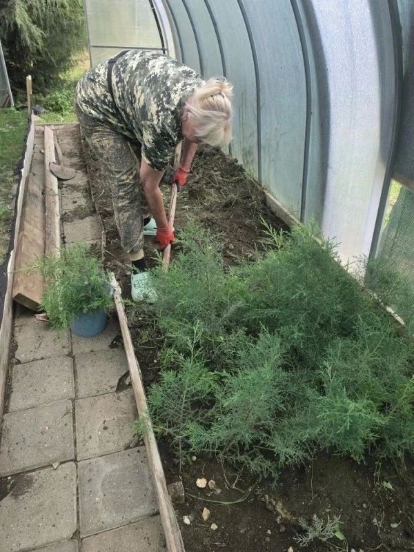 Сотрудники ГАУ РК «Крымское лесоохотничье хозяйство» высадили двухлетние растения биоты восточной и розмарина на территории Судакского лесничества