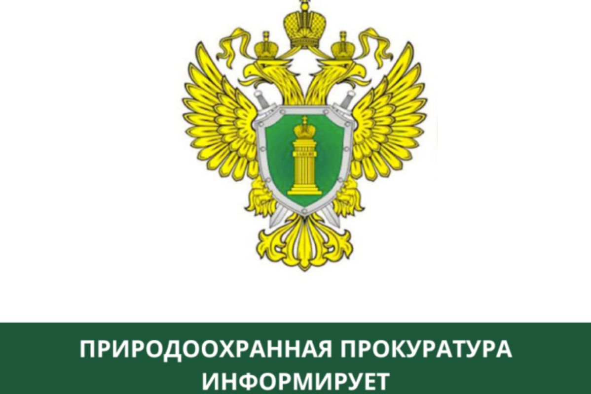 Керченская межрайонная природоохранная прокуратура разъясняет
