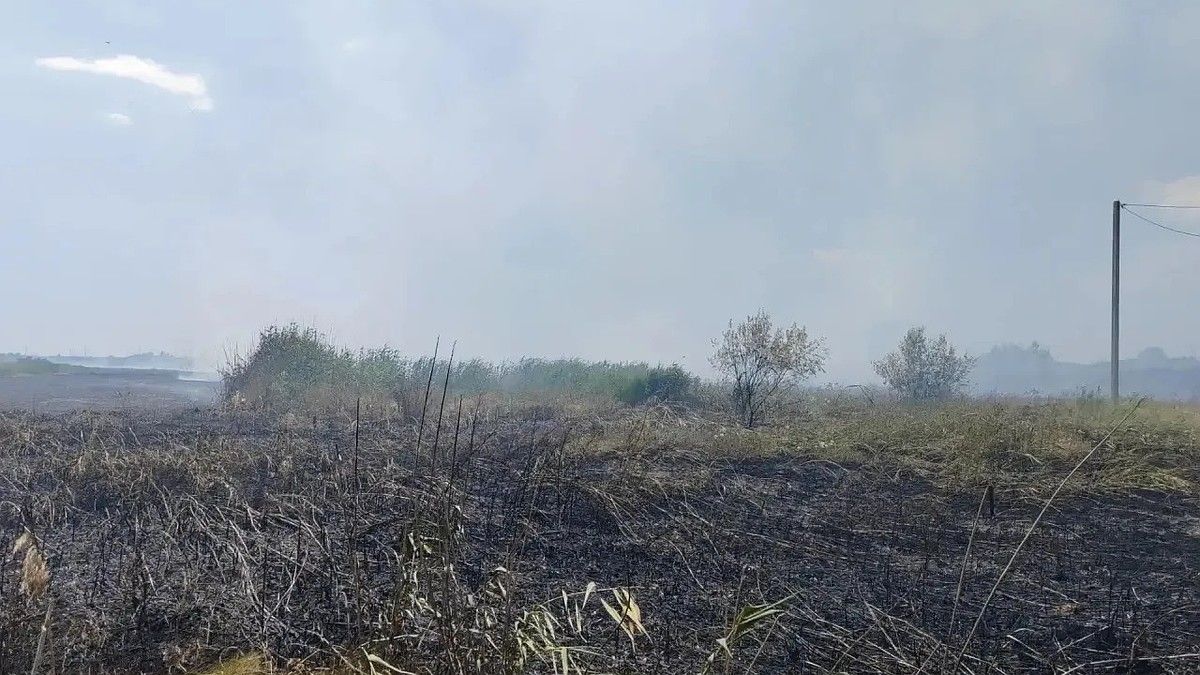 В Сакском районе ликвидировали лесной пожар площадью 10,2 гектара