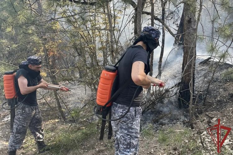 Росгвардейцы участвуют в тушении ландшафтного пожара в Севастополе