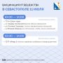 Севастопольские ветврачи привили от бешенства ещё 177 питомцев