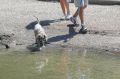� ������� �� ����� ������ � ����� ����� �� ������ � �� ������� ������ ����������� � �������� �� ���������� ���, � ����� ������������ ��� ������������ ����������