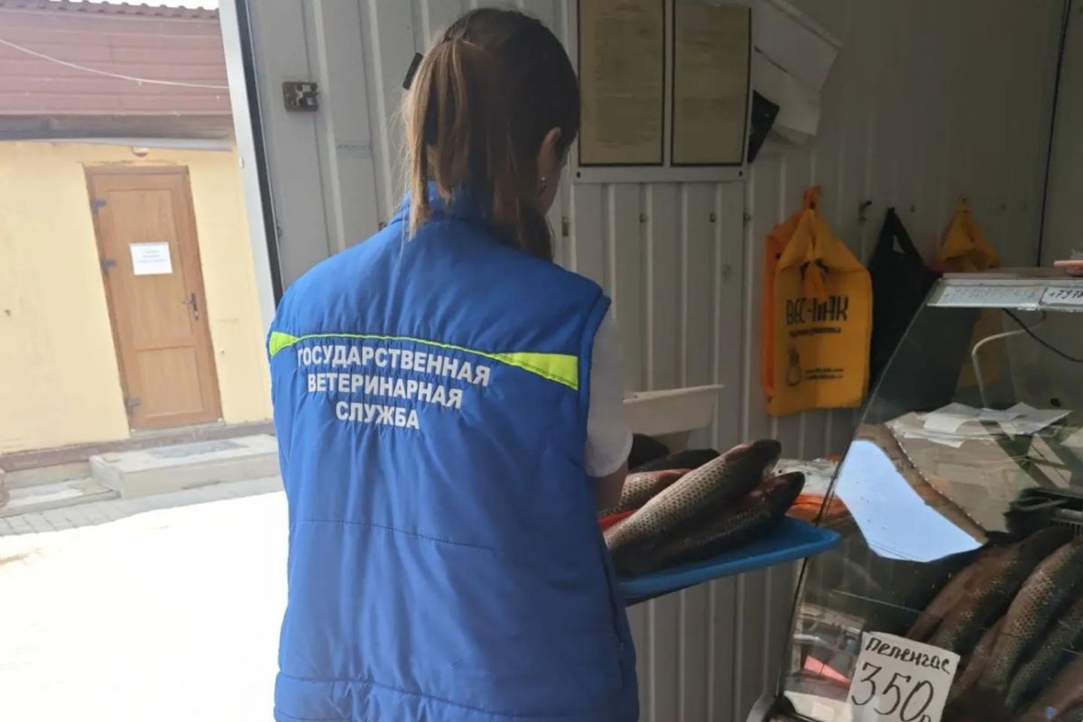 Более 300 кг рыбной продукции уничтожено по инициативе собственников на рынках города Феодосия